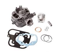 Cilindro con Cabeza cilíndrica maxtuned estándar 50 CCM para (Ludix LC) Peugeot, Jet Force C-Tech, Ludix, Speedfight 3 LC 50