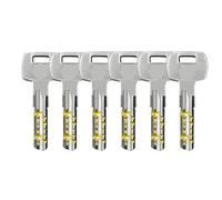 Cilindro de cerradura de doble embrague: las llaves se pueden usar simultáneamente en ambos extremos. Olvidé quitar la llave.(60MM,E)