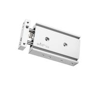 Cilindro de doble vástago Serie TR25 Cilindro neumático de doble efecto TR25X125S TR25X150S TR25X175S TR25X200S(TR25X175S)