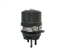Cilindro de freno combinado WABCO 9254810320 para VOLVO FM10 9.6 1999-2001