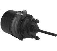Cilindro de freno combinado WABCO 9254921020 para DAF F 2100 8.25 1978-1986