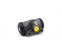 Cilindro de freno Hierro fundido 04-0249 METELLI para CITROËN PEUGEOT FIAT
