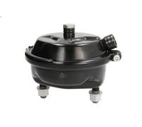 Cilindro de pretensión DT SPARE PARTS 4.65549 AXOR 6.374 2002-2004