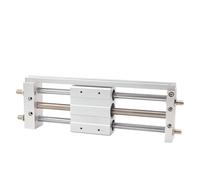 Cilindro neumático deslizante de aire de 25 mm de diámetro, cilindro magnético sin vástago de doble efecto, de 100-1500 mm para la automatización(RMTL25x1100)