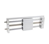 Cilindro neumático sin vástago de acero inoxidable RMTL40x100/200/300/500/600/700/1000 doble efecto, diámetro interior 40 mm para la automatización(RMTL40x1100)