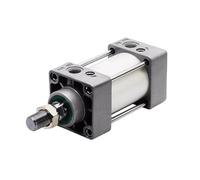 Cilindro SC100, diámetro de 100mm, de 25mm a 1000mm, anillo de sellado de cilindro estándar de doble acción(Stroke 175mm Magnet)