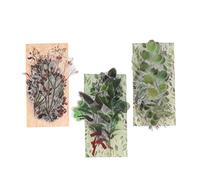 CIMAXIC 120piezas Pegatinas Decorativas De Plantas y Diy Para Cuadernos Álbumes De Fotos