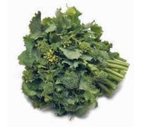 Cime di rapa, , reliquia, ORGANICI 25 + SEMI, delizioso UNA delizia culinaria
