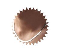 Cimenexe Punk Serpente Osso Collana Choker Argento Serpente Catena Collana Serpente Piatto Collare Choker Collana Collana Clavicola Minimal Gioielli Per Le Donne E Le Ragazze