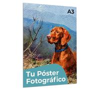 Cimpress Póster personalizado con foto y texto, A3 (29.7 x 42cm) | Añade tu foto y tu texto; crea una decoración de pared personalizada, ideal para el hogar, la oficina o como regalo.