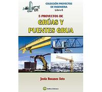 CINCO PROYECTOS DE GRÚAS Y PUENTES GRÚA