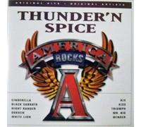 Cinderella, Black Sabbath, Night Ranger, Dokken, White Lion, etc - Thunder' N Spice America Rocks (UK Import)