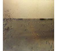 Cindytalk - Hold Everything Dear [Vinilo]