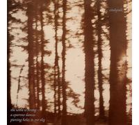 Cindytalk - THE WIND IS STRONG... (MARBLE SMOKE) [Vinilo]