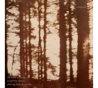 Cindytalk The Wind Is Strong... (Vinyl) 12" Album (Importación USA)