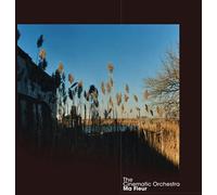 Cinematic Orchestra Ma Fleur (CD) (Importación USA)