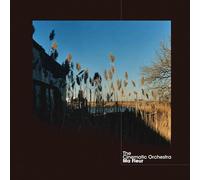 Cinematic Orchestra - Ma Fleur [Vinilo]