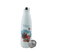 Cinereplicas Harry Potter - Botella de agua aislada de acero inoxidable de 500 ml - Licencia oficial