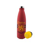 Cinereplicas Harry Potter - Botella de agua aislada de acero inoxidable de 500 ml Vamos - Licencia Oficial