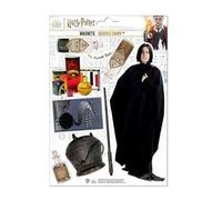 CINEREPLICAS Harry Potter Set MAGNETI IN SPUGNA Severus Piton