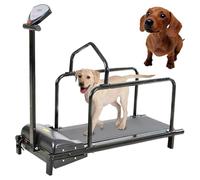 Cinta de correr para mascotas de interior para perros y gatos pequeños, máquina de ejercicio portátil para uso doméstico