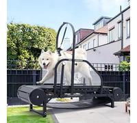 Cinta de correr para perros grandes/medianos, rampa ajustable, máquina de listones para correr, uso en interiores de hasta 300 libras, con podómetro para ejercicio y pérdida de peso