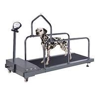 Cinta de correr para perros grandes y medianos, equipo de ejercicio en interiores para mascotas pequeñas y medianas, diseño compacto para correr y entrenar