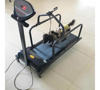 Cinta de correr para perros grandes y medianos, rampa ajustable con podómetro para ejercicio y vida saludable de mascotas