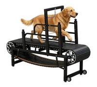 Cinta de Correr para Perros Manual, Slatmill Autopropulsada para Perros Medianos y Grandes, Freno Manual, Capacidad 200 kg, Correa Silenciosa 170×50 cm para Entrenamiento en Interiores y Todo Clima