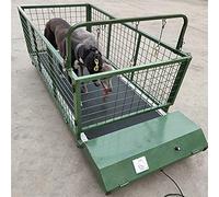 Cinta de correr para perros para razas grandes, equipo de ejercicio para mascotas de interior para perros de hasta 300 libras, cinta de correr para mascotas de fitness para mastines y otros animales