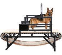 Cinta de correr para perros pequeños, medianos y grandes, ejercitadora de perros para interiores y exteriores para fitness cardiovascular en casa o patio trasero