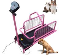 Cinta de correr resistente para perros para mascotas, máquina silenciosa para interiores y exteriores con pantalla LCD, velocidades ajustables de 0,8 a 6 km/h, soporta hasta 175 libras para un