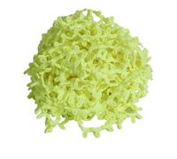 Cinta de encaje elástica de 5 a 10 yardas, bucles de botones de Color blanco y negro, adorno de encaje hecho a mano Multicolor for costura de ropa, banda de goma(Bright yellow,14mm 5yards)