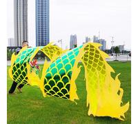 Cinta de lanzamiento de dragón con escamas verdes de Dragon Poi, bandera de baile con diseño de dragón y bolsa de viaje, cintas giratorias de dragón for celebraciones y malabarismos.(6 m (20 ft))