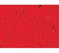 Cinta De Manillar Cinelli Gel Roja