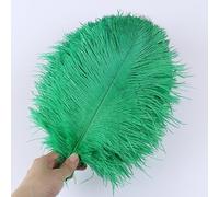 Cinta de Plumas Cola, Flecos, 10 unids/Lote, decoración del hogar for Bodas, Centro Mesa, Manualidades, Plumaje(Glass Green)