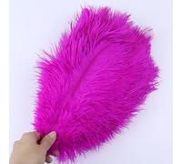 Cinta de Plumas Cola, Flecos, 10 unids/Lote, decoración del hogar for Bodas, Centro Mesa, Manualidades, Plumaje(Rose)