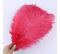 Cinta de Plumas Cola, Flecos, 10 unids/Lote, decoración del hogar for Bodas, Centro Mesa, Manualidades, Plumaje(Watermelon Red)