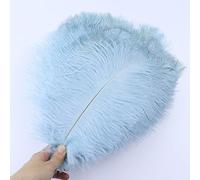 Cinta de Plumas Cola, Flecos, 10 unids/Lote, decoración del hogar for Bodas, Centro Mesa, Manualidades, Plumaje(Light Blue)