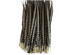 Cinta de Plumas Cola, Flecos, 5 unids/Lote señora for Manualidades for decoración, Accesorios Fiesta y Carnaval(Natural)