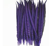 Cinta de Plumas Cola, Flecos, 5 unids/Lote señora for Manualidades for decoración, Accesorios Fiesta y Carnaval(Purple)