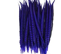 Cinta de Plumas Cola, Flecos, 5 unids/Lote señora for Manualidades for decoración, Accesorios Fiesta y Carnaval(Royal Blue)