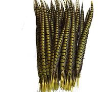 Cinta de Plumas Cola, Flecos, 5 unids/Lote señora for Manualidades for decoración, Accesorios Fiesta y Carnaval(Yellow)