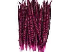 Cinta de Plumas Cola, Flecos, 5 unids/Lote señora for Manualidades for decoración, Accesorios Fiesta y Carnaval(Rose)