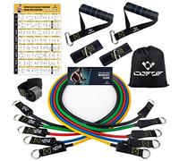 Cintas Elasticas Musculacion, 5 Resistance Bands, Gomas Elasticas Musculacion con Manijas Grandea, Tobillo, Póster de Entrenamiento, Bands