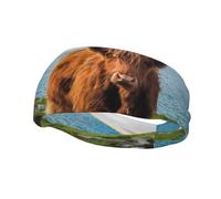 Cintas para el cabello Highland Cow By The Sea para hombre y mujer, diadema para correr, diadema transpirable para gimnasio
