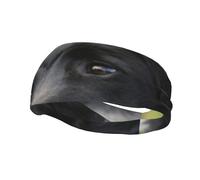 Cintas para el pelo de Labrador negro, manzanilla y Retriever negro para hombres y mujeres, diadema para correr, diadema transpirable para gimnasio