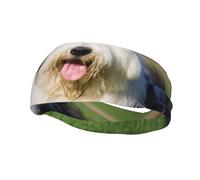 Cintas para el pelo de perro Old English Sheepdog para hombres y mujeres, diadema para correr, diadema que absorbe el sudor, para el gimnasio.