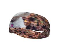 Cintas para el pelo Westie Bokeh West Highland White Terrier para hombres y mujeres, diadema para correr, diadema transpirable para gimnasio