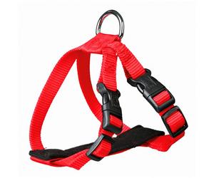 Cinto De Segurança p/ Gatos